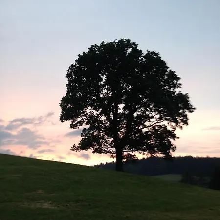 Zur Post 圣卡瑟林阿哈