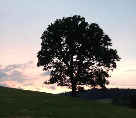 Zur Post Sankt Kathrein am Hauenstein